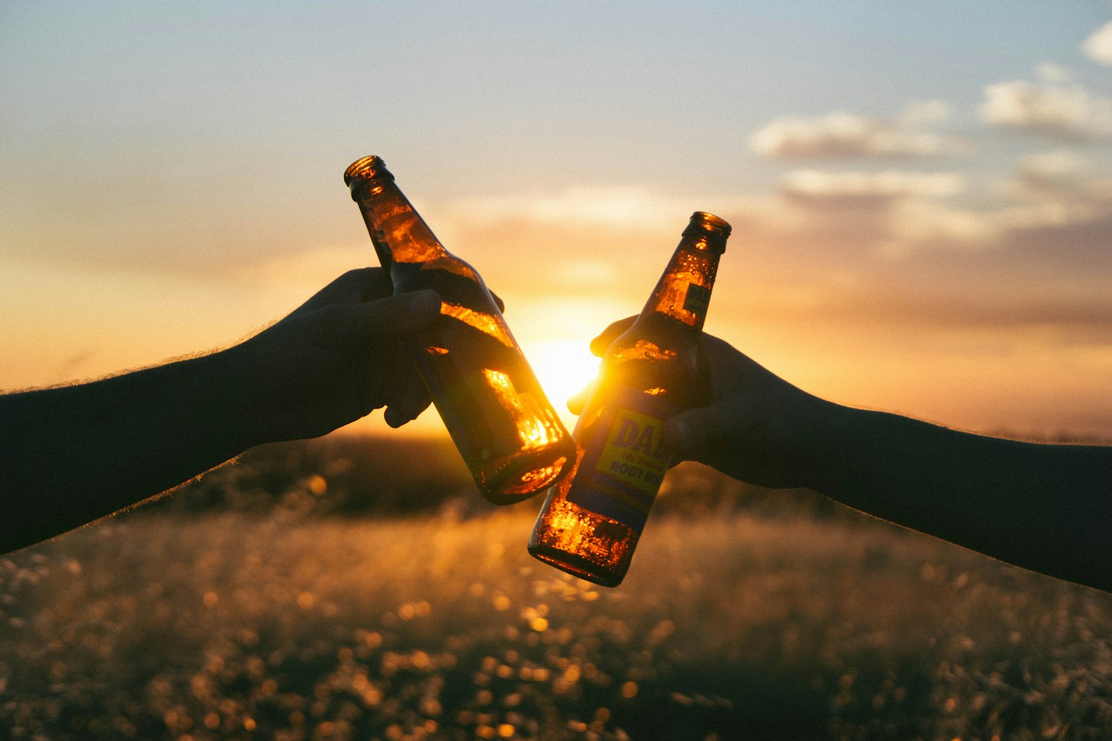 Two beer bottles toasting against a sunset
